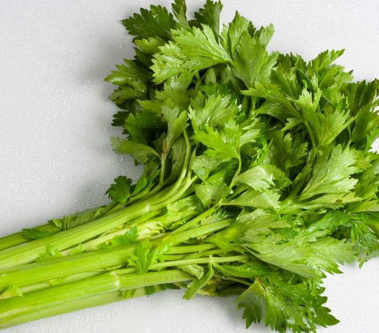 All You Need to Know About Chinese Parsley (Cilantro)