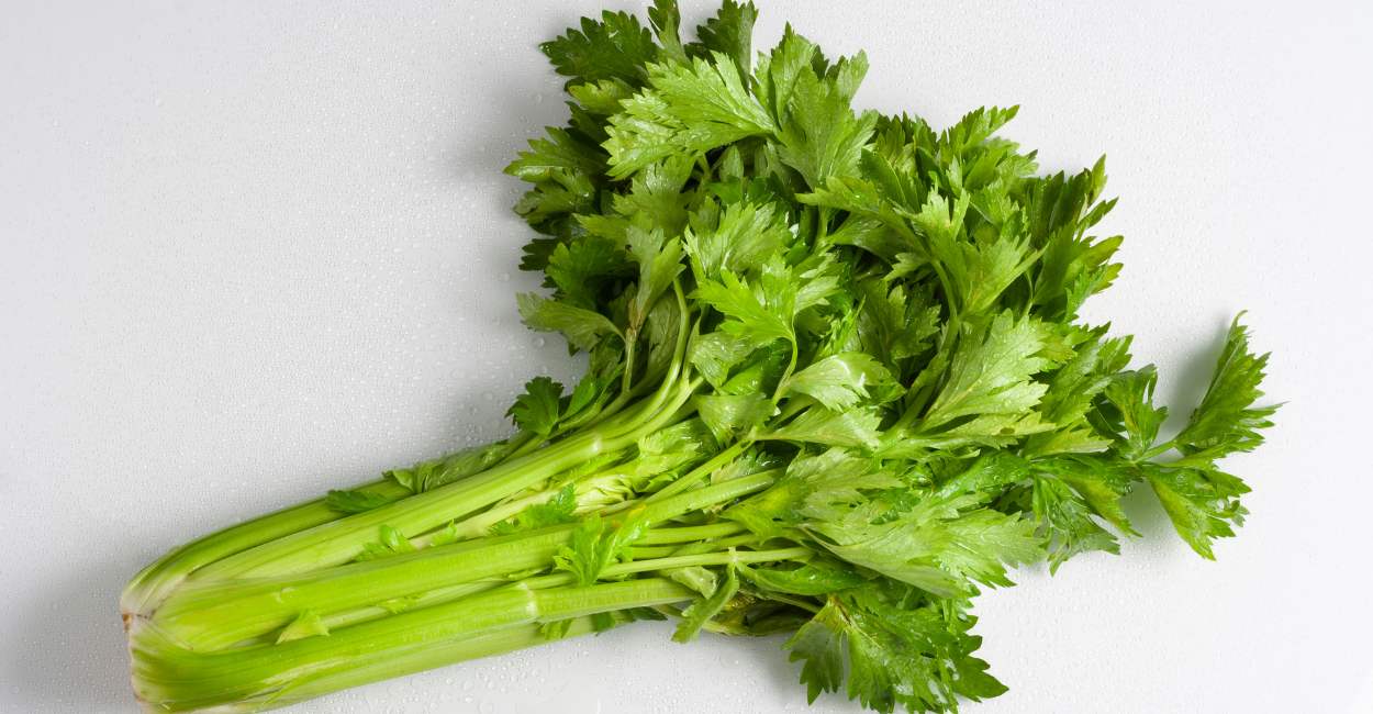All You Need to Know About Chinese Parsley (Cilantro)