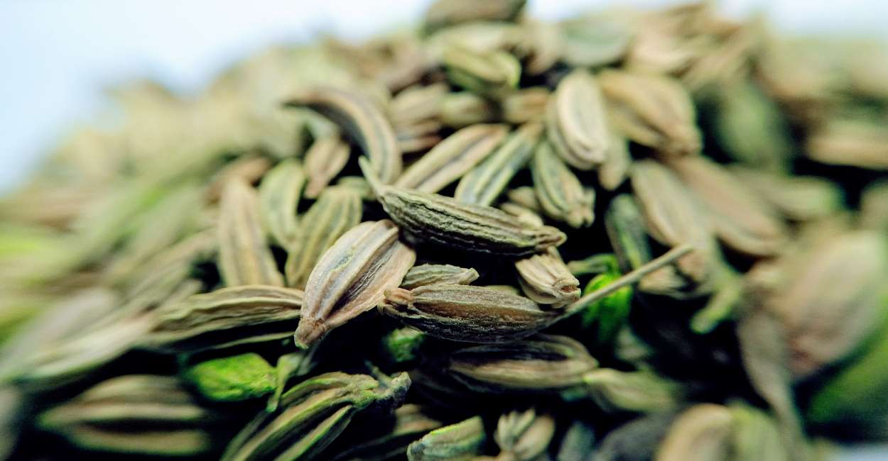 Carom Seeds The Flavorful Herb with Many Benefits