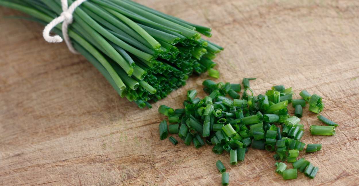 Chives A Culinary Elegance in Every Leaf