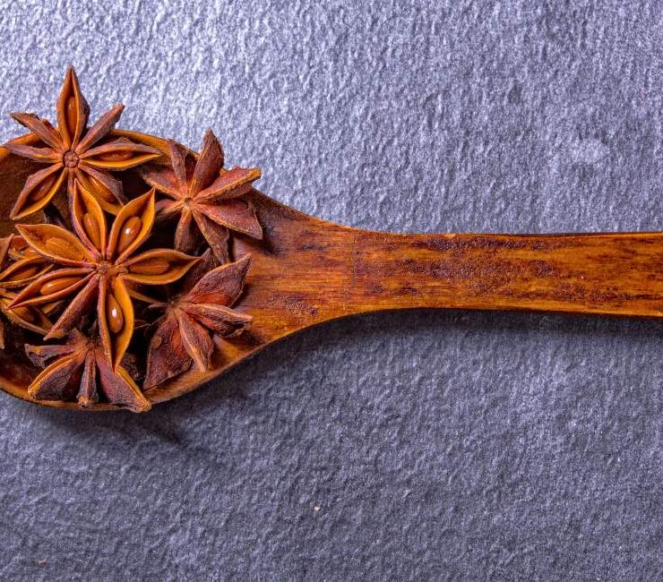 Exploring Sichuan Star Anise A Spice with Galactic Flavors in Chinese Cuisine