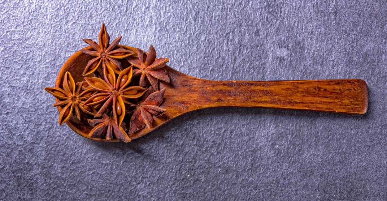 Exploring Sichuan Star Anise A Spice with Galactic Flavors in Chinese Cuisine