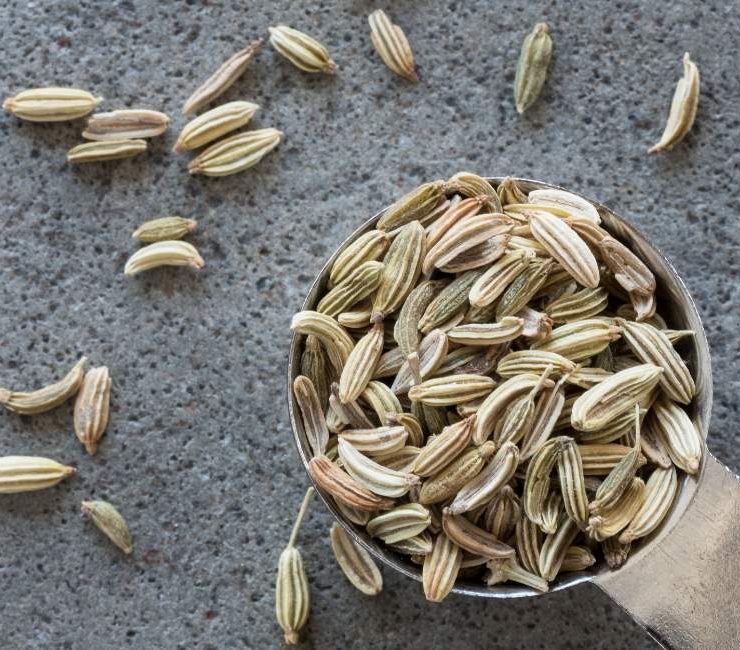 Exploring the Aromatic World of Moroccan Fennel Seeds A Culinary Guide