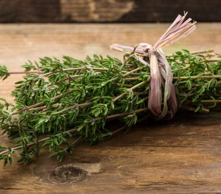 Exploring the Rich Flavors and Versatile Uses of Jamaican Thyme
