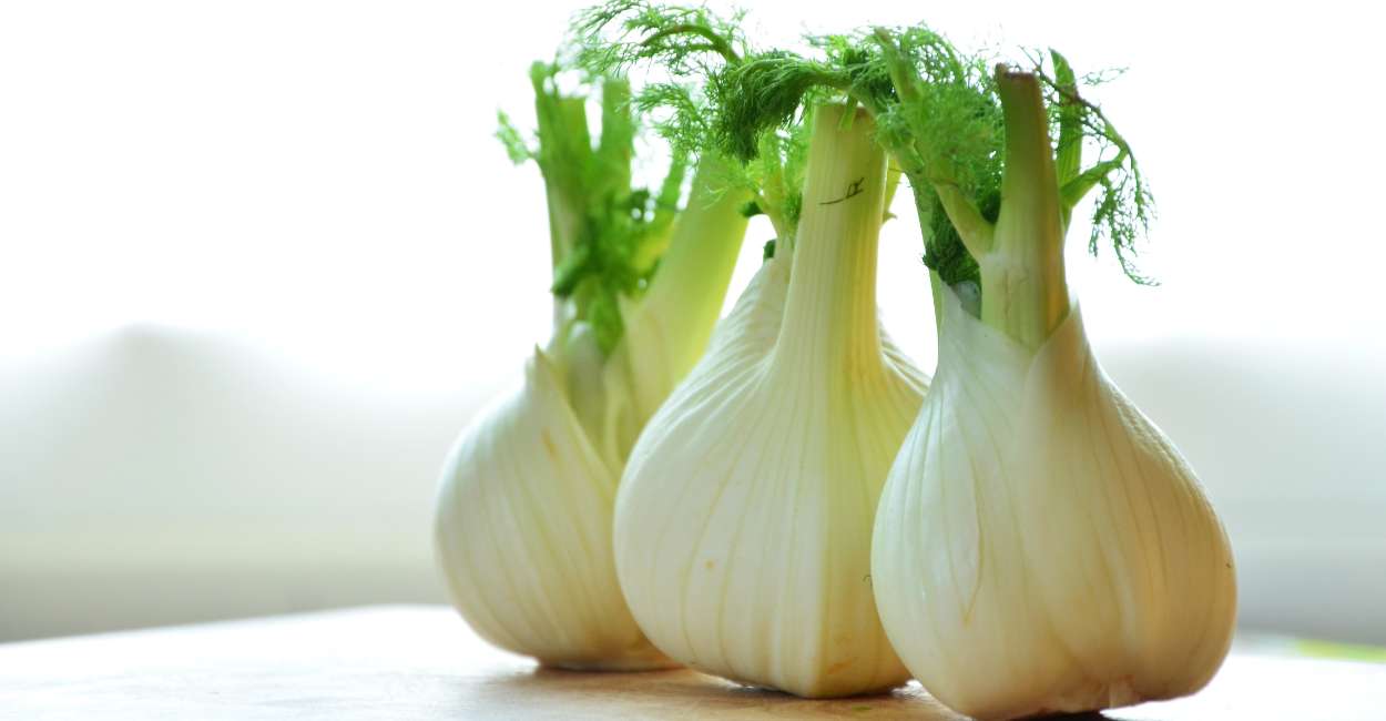 Fennel A Culinary Symphony of Flavor and Versatility