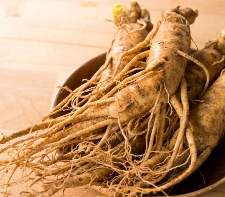 Fresh Ginseng Root: