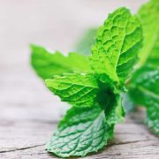 Fresh and Fragrant Lebanese Mint's Culinary Journey
