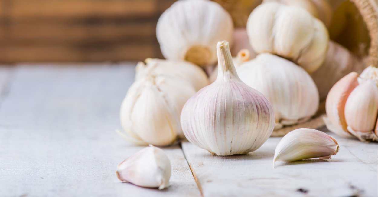 Garlic The Culinary Alchemist of Flavor and Health