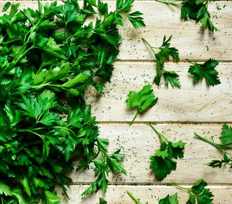 Greek Parsley Unveiled A Culinary Marvel and Nutritional Powerhouse