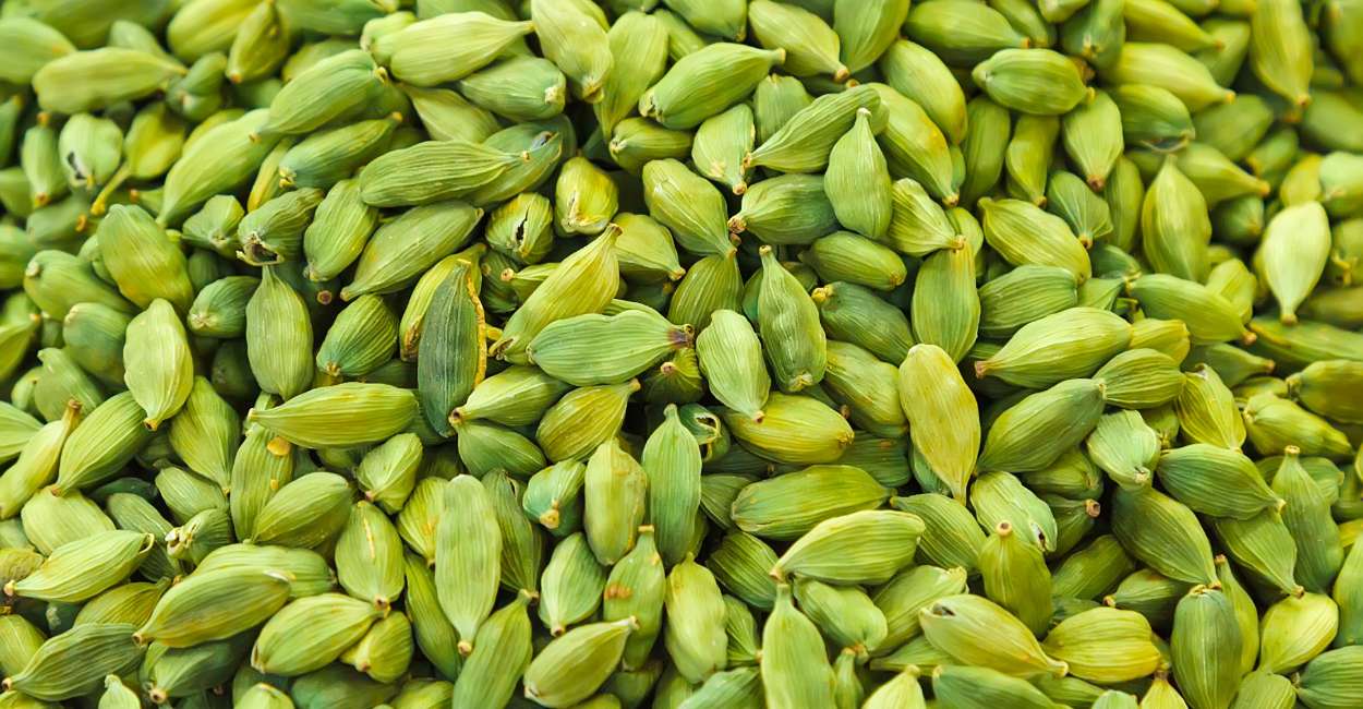 Green Cardamom The Aromatic Jewel of Spices