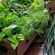 Preserving Freshness: A Comprehensive Guide on How to Freeze Fresh Herbs