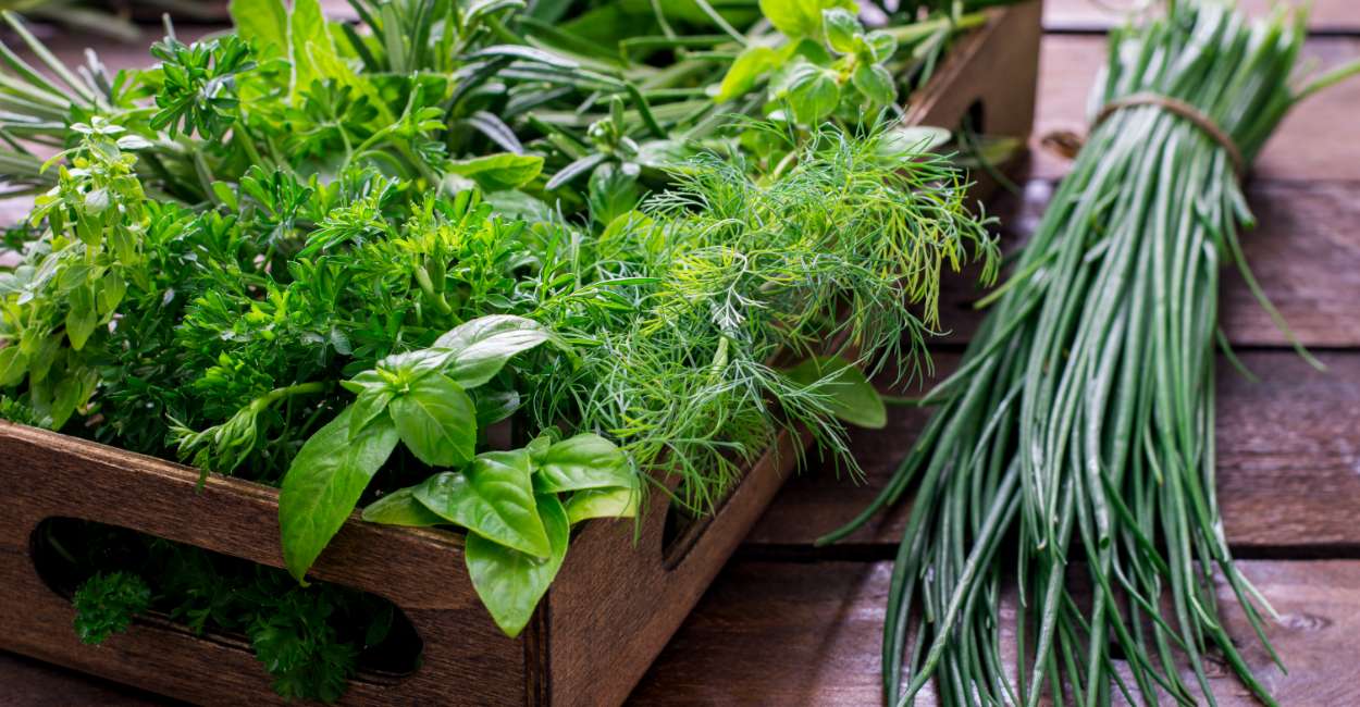 Preserving Freshness: A Comprehensive Guide on How to Freeze Fresh Herbs