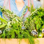 Preserving Freshness: A Comprehensive Guide on How to Store Fresh Herbs