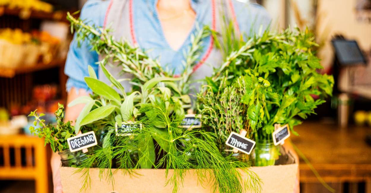 Preserving Freshness: A Comprehensive Guide on How to Store Fresh Herbs