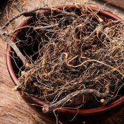 Maral Root Unveiling the Secrets of a Potent Herbal Remedy