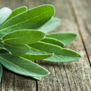 Nature's Gift Greek Sage and Its Culinary Versatility