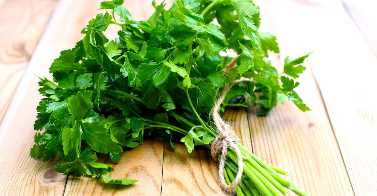 Thai Parsley Unveiled A Culinary Delight