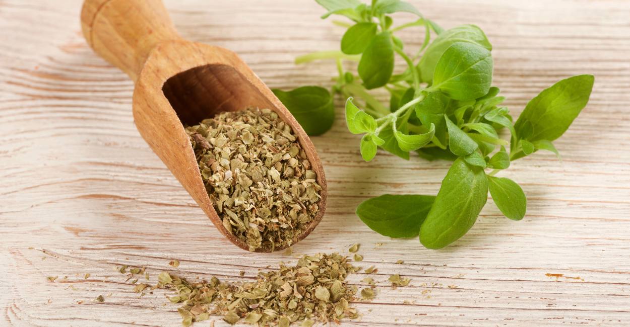 Title Unveiling the Culinary Magic of Spanish Oregano A Comprehensive Guide