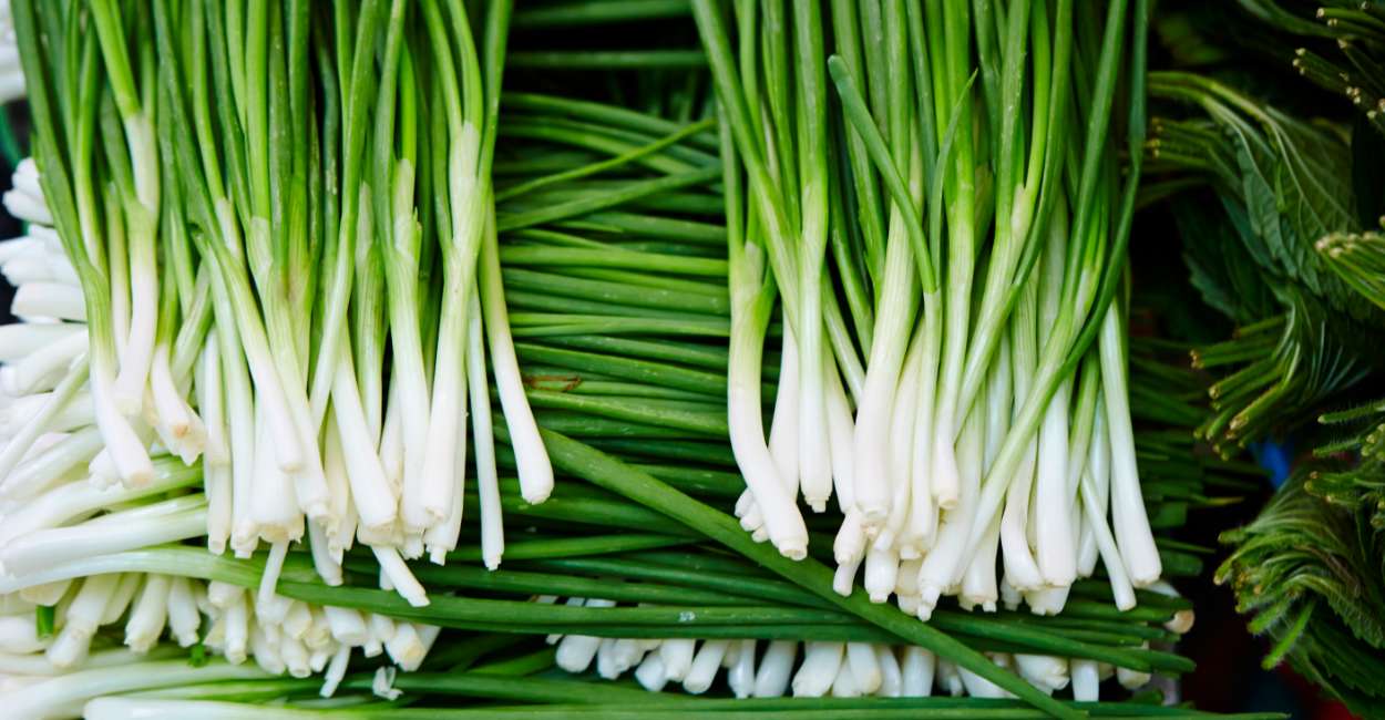 Exploring the Delicate Flavor of French Chives: A Culinary Guide