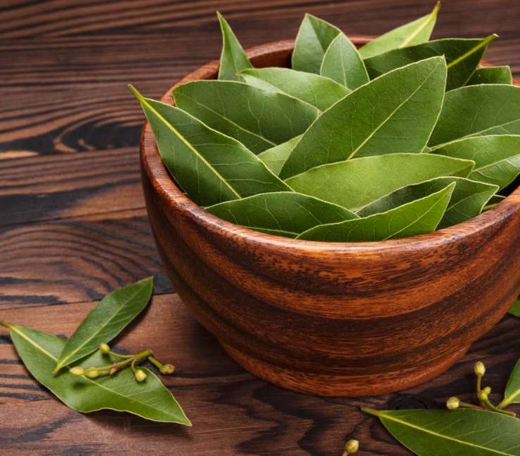 Unveiling the Essence of Bay Leaves A Comprehensive Guide