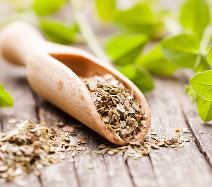 Unveiling the Aromatic Charm of Italian Oregano Spice A Comprehensive Guide