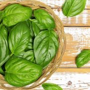 Exploring French Basil Spice A Complete Guide