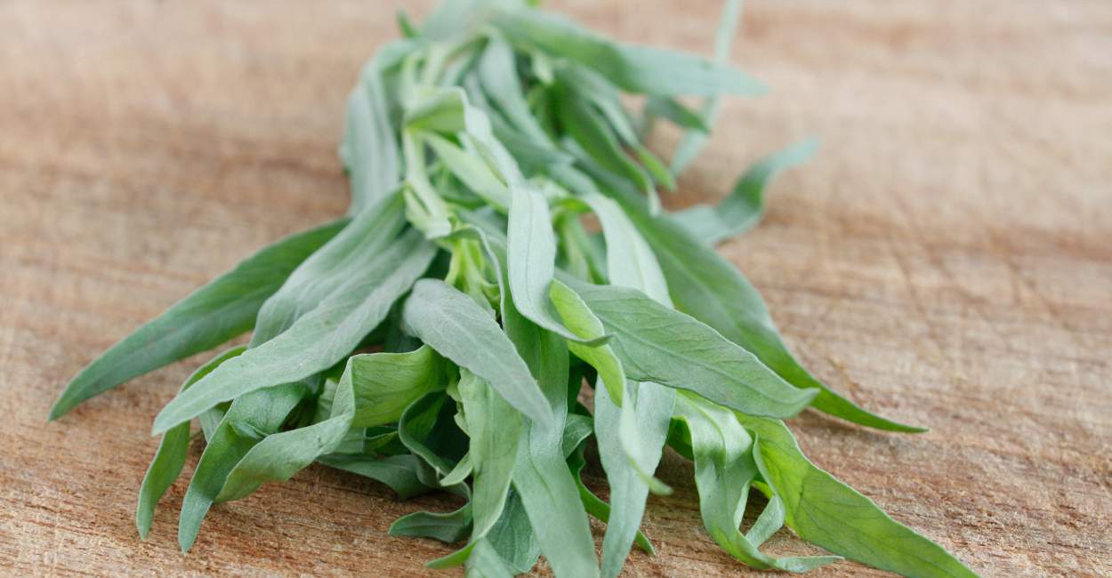 Exploring French Tarragon Spice A Complete Guide