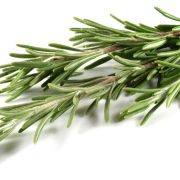 Unveiling the Essence of French Rosemary Spice A Complete Guide