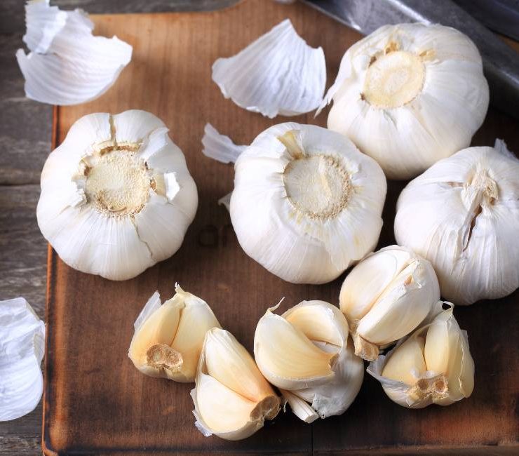 Delving into Spanish Garlic A Staple of Flavor and Tradition
