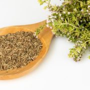 Discovering American Thyme The Essential Herb for Savory Dishes