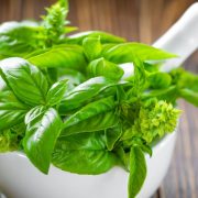 Exploring the Aromatic World of Thai Basil Spice A Culinary Guide
