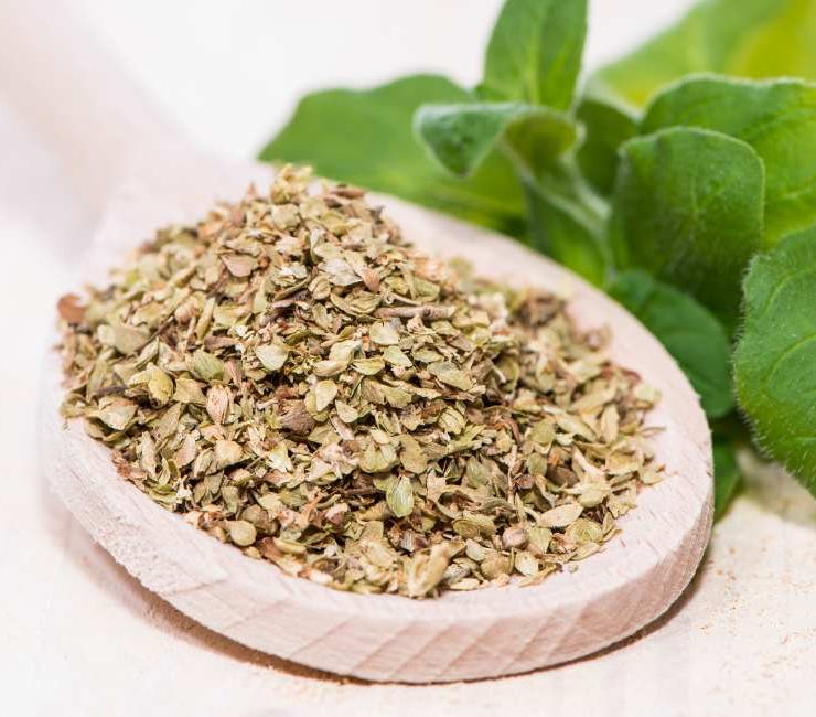 Mexican Oregano The Vibrant Herb of Authentic Southwestern Cuisine
