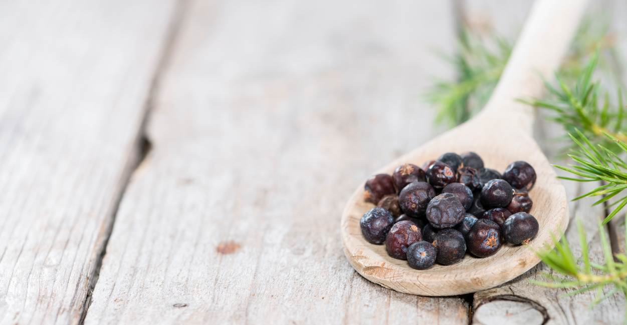 The Aromatic World of French Juniper Berries Spice A Culinary Essential