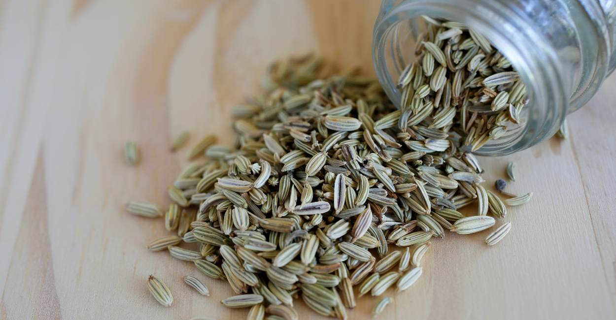 The Flavorful World of French Fennel Seeds A Culinary Essential