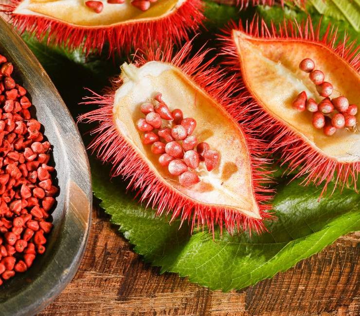 The Vibrant World of Mexican Annatto A Culinary Color and Flavor Enhancer