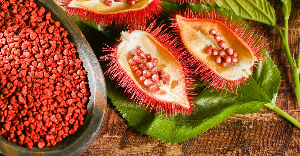 The Vibrant World of Mexican Annatto A Culinary Color and Flavor Enhancer