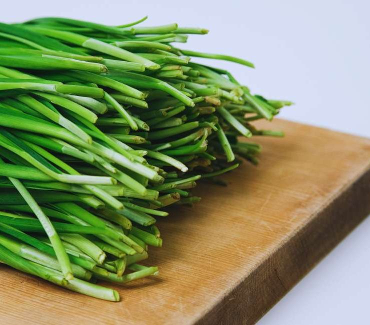 Exploring the Versatile European Chives Herb: A Culinary Delight