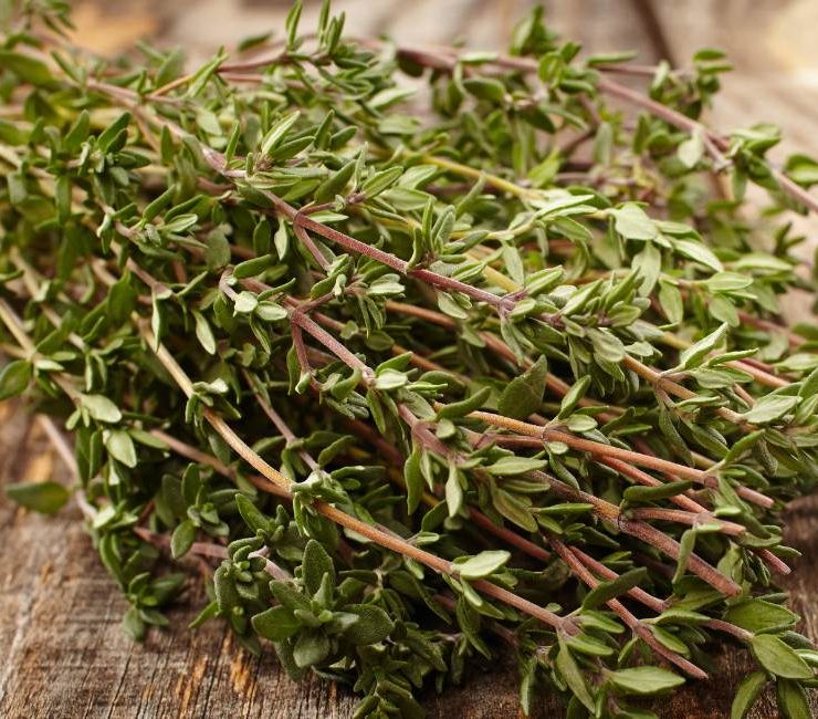 Unveiling the Allure of Turkish Thyme Spice A Culinary Exploration