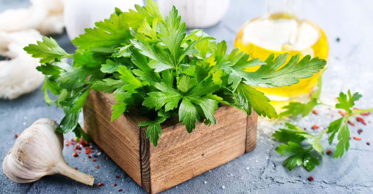 Unveiling the Flavor of Spanish Parsley A Culinary Delight