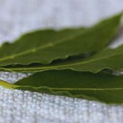 Exploring the Culinary Charm of German Bay Leaves: Flavor, Uses, and Benefits