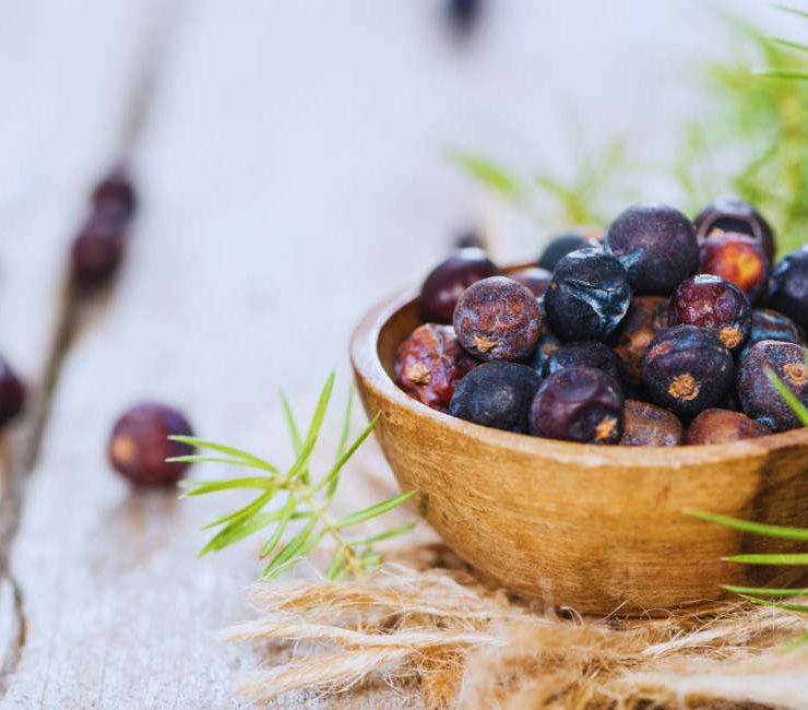 Exploring the Flavors of German Juniper Berries Herb
