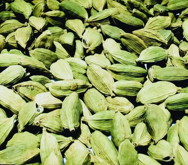 Discovering the Aromatic World of Moroccan Cardamom Herb