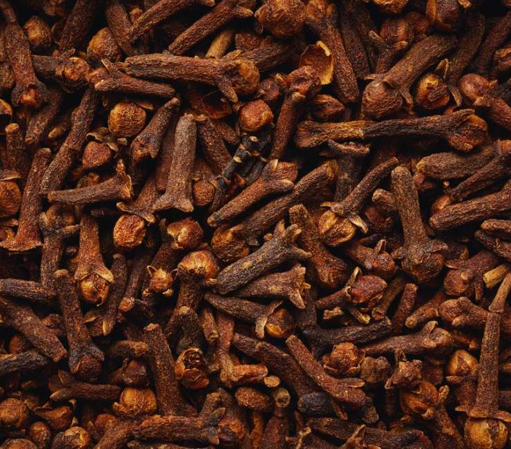 Exploring the Richness of Moroccan Cloves Herb