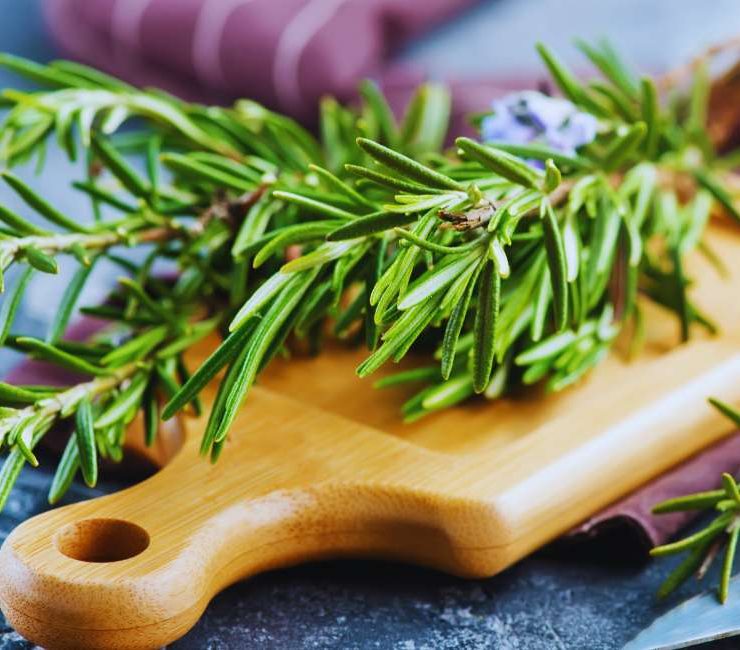 Exploring German Rosemary: A Culinary Delight and Healthful Herb
