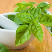 Vietnamese Basil A Flavorful Journey Through the Culinary World